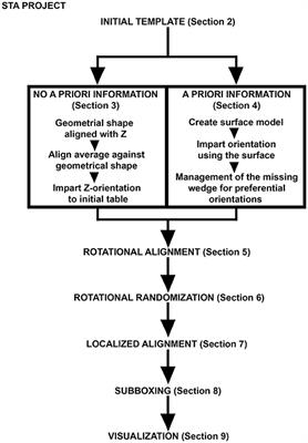 Protocols for Subtomogram Averaging of Membrane Proteins in the Dynamo Software Package